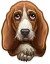 🐶-Just zoo it!, Telegram Sticker