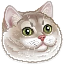 🐱-Just zoo it!, Telegram Sticker