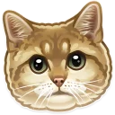 🐱-Just zoo it!, Telegram Sticker