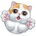 🐱-Just zoo it!, Telegram Sticker