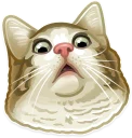 🐱-Just zoo it!, Telegram Sticker