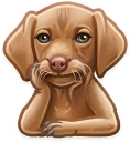 🐶-Just zoo it!, Telegram Sticker