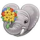 🐘-Just zoo it!, Telegram Sticker