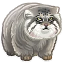 🐱-Just zoo it!, Telegram Sticker