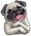 🐶-Just zoo it!, Telegram Sticker