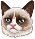 🐱-Just zoo it!, Telegram Sticker