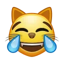😹-Animated Emoji, Telegram Sticker