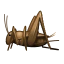 🦗-Animated Emoji, Telegram Sticker