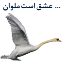 👍-Anzali-Malavan, Telegram Sticker