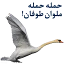 👍-Anzali-Malavan, Telegram Sticker