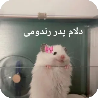 🐭-@stjckers شماره مجازی ارزان @Majazinoo_accbot, Telegram Sticker