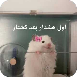🐭-@stjckers شماره مجازی ارزان @Majazinoo_accbot, Telegram Sticker