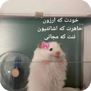 🐭-@stjckers شماره مجازی ارزان @Majazinoo_accbot, Telegram Sticker