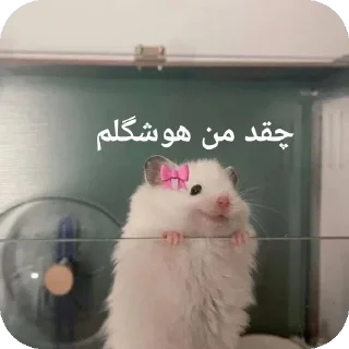 🐭-@stjckers شماره مجازی ارزان @Majazinoo_accbot, Telegram Sticker