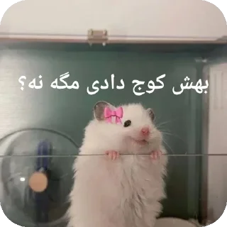 🐭-@stjckers شماره مجازی ارزان @Majazinoo_accbot, Telegram Sticker