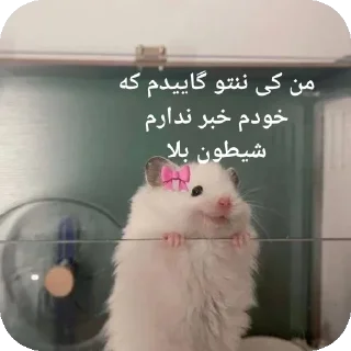 🐭-@stjckers شماره مجازی ارزان @Majazinoo_accbot, Telegram Sticker