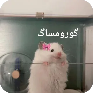 🐭-@stjckers شماره مجازی ارزان @Majazinoo_accbot, Telegram Sticker