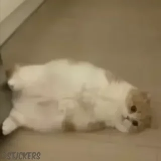 😔-@stjckers شماره مجازی ارزان @Majazinoo_accbot, Telegram Sticker