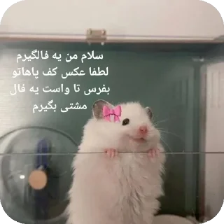 🐭-@stjckers شماره مجازی ارزان @Majazinoo_accbot, Telegram Sticker
