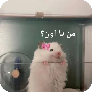 🐭-@stjckers شماره مجازی ارزان @Majazinoo_accbot, Telegram Sticker