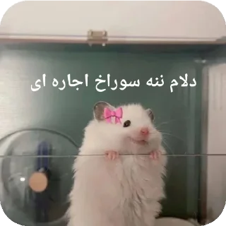 🐭-@stjckers شماره مجازی ارزان @Majazinoo_accbot, Telegram Sticker