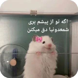 🥀-@stjckers شماره مجازی ارزان @Majazinoo_accbot, Telegram Sticker