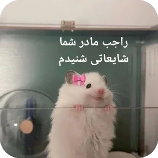 🐭-@stjckers شماره مجازی ارزان @Majazinoo_accbot, Telegram Sticker