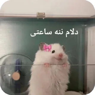 🐭-@stjckers شماره مجازی ارزان @Majazinoo_accbot, Telegram Sticker