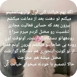 🤬-@stjckers شماره مجازی ارزان @Majazinoo_accbot, Telegram Sticker