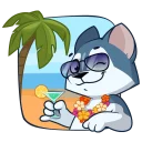 😎-Archie the Dog, Telegram Sticker