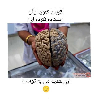 🤪-@AtlasOfAnatomy 🫀🫁🧠, Telegram Sticker