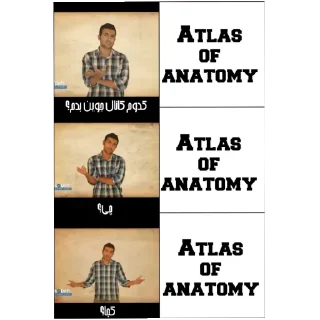 ✅-@AtlasOfAnatomy 🫀🫁🧠, Telegram Sticker