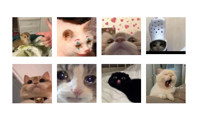 meong