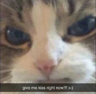 🐱-meong, Telegram Sticker