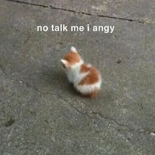 🐱-meong, Telegram Sticker