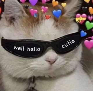 🐱-meong, Telegram Sticker