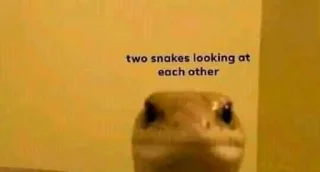 🐍-Bakchod, Telegram Sticker