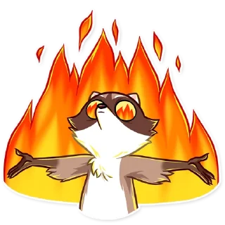 🔥-Bandit Raccoon, Telegram Sticker