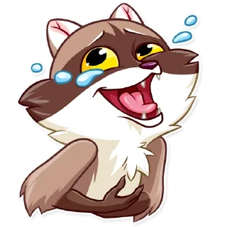 Bandit Raccoon