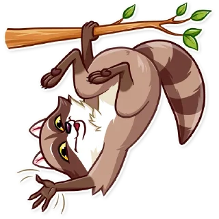 👋-Bandit Raccoon, Telegram Sticker