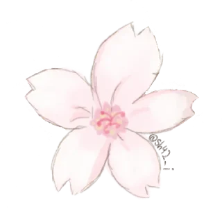 🌃-بَـريق الزهَـر 🪞, Telegram Sticker