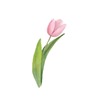 🍗-بَـريق الزهَـر 🪞, Telegram Sticker