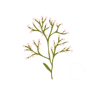 🍧-بَـريق الزهَـر 🪞, Telegram Sticker