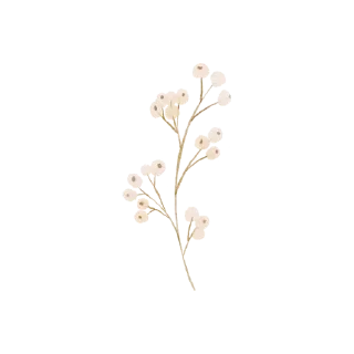 🍇-بَـريق الزهَـر 🪞, Telegram Sticker