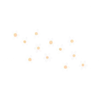🌼-بَـريق الزهَـر 🪞, Telegram Sticker
