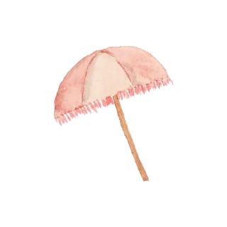 🍢-بَـريق الزهَـر 🪞, Telegram Sticker