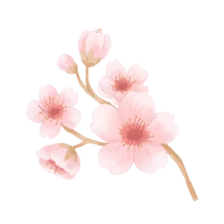 🌷-بَـريق الزهَـر 🪞, Telegram Sticker