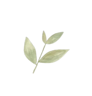 🌿-بَـريق الزهَـر 🪞, Telegram Sticker