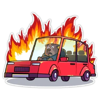 😰-Bear trader, Telegram Sticker