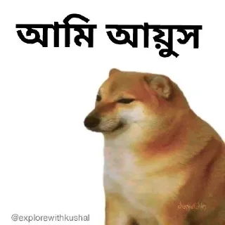 😁-Bengali cheems,Join- @about_kushal :: @fStikBot, Telegram Sticker